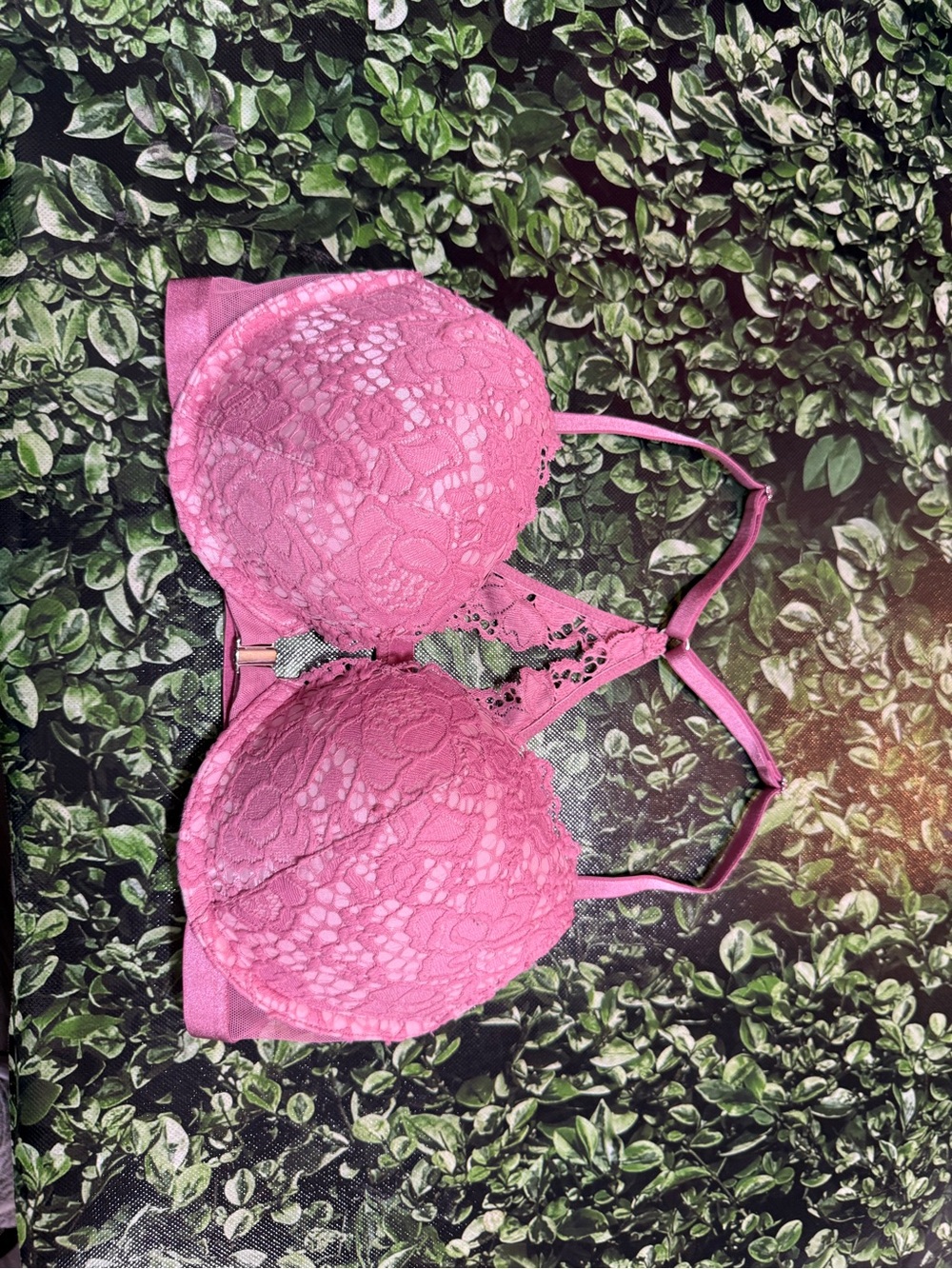 Victoria's Secret Pink Lace Push-Up Bra with Scalloped Detail
